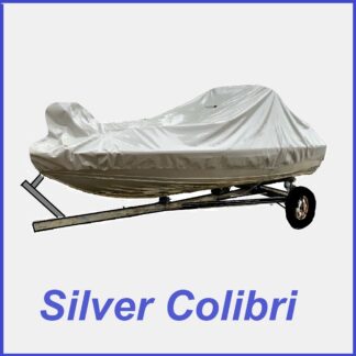 Silver Colibri